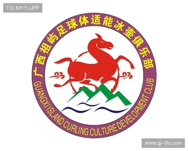 围绕足球青训学校打造区域联动发展的创新型社区俱乐部体系框架构