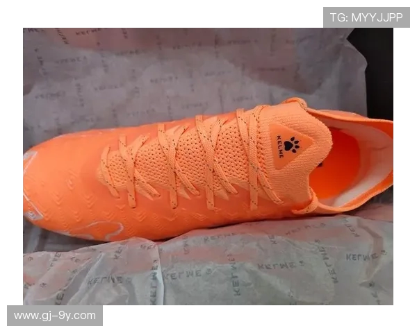 兰州天朗足球鞋价格分析及市场走势探讨